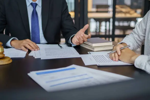 Business Establishment Lawyer in Egypt: Sadany & Partners Law Firm