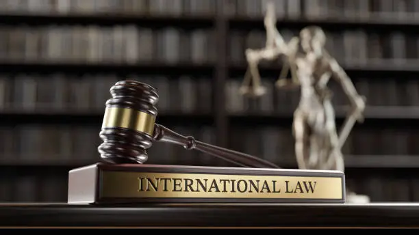 International Law Firm in Cairo: Sadany & Partners Law Firm
