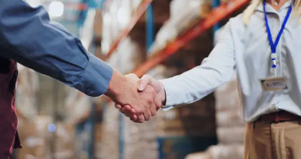 Import Company Registration Egypt 2025 | GOEIC Guide