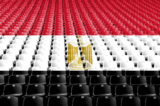 Sports Services Company Licensing in Egypt | Law 71 of 2017 Requirements